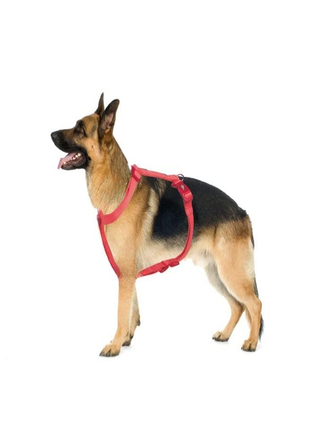 Trixie Premium Touring Harness for Dogs Made with Fleece Padding, Adjustable, and Lightweight Strong D-Ring Keeps The Harness and Leash in Place (S-M, Coral) - Image 3